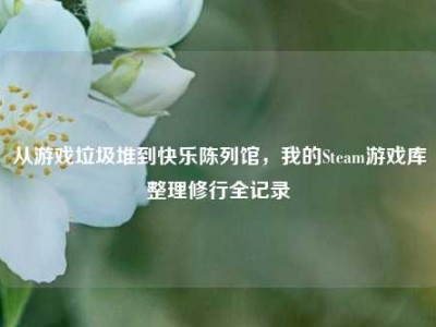 从游戏垃圾堆到快乐陈列馆，我的Steam游戏库整理修行全记录