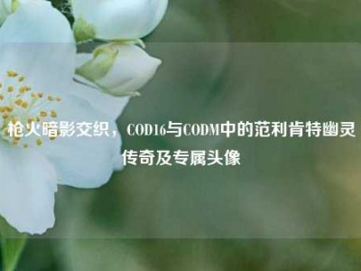 枪火暗影交织，COD16与CODM中的范利肯特幽灵传奇及专属头像