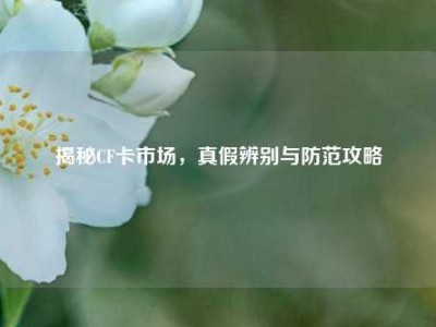 揭秘CF卡市场，真假辨别与防范攻略