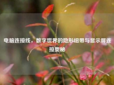 电脑连接线，数字世界的隐形纽带与显示屏连接奥秘