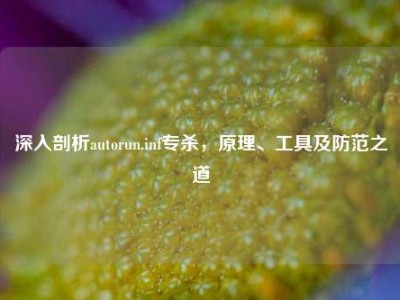 深入剖析autorun.inf专杀，原理、工具及防范之道