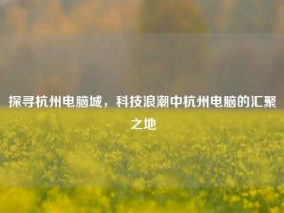 探寻杭州电脑城，科技浪潮中杭州电脑的汇聚之地