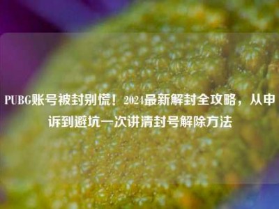 PUBG账号被封别慌！2024最新解封全攻略，从申诉到避坑一次讲清封号解除方法