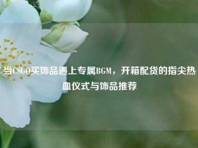 当CSGO买饰品遇上专属BGM，开箱配货的指尖热血仪式与饰品推荐