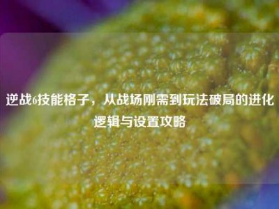 逆战6技能格子，从战场刚需到玩法破局的进化逻辑与设置攻略
