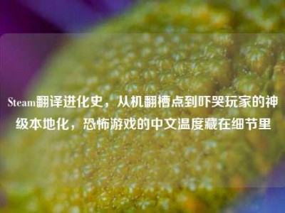 Steam翻译进化史，从机翻槽点到吓哭玩家的神级本地化，恐怖游戏的中文温度藏在细节里