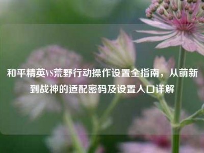 和平精英VS荒野行动操作设置全指南，从萌新到战神的适配密码及设置入口详解