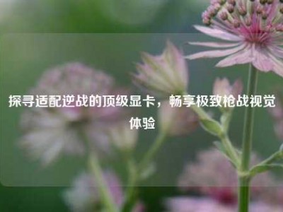 探寻适配逆战的顶级显卡，畅享极致枪战视觉体验