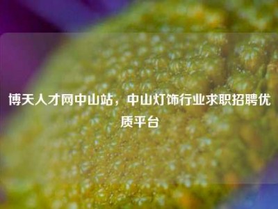 博天人才网中山站，中山灯饰行业求职招聘优质平台