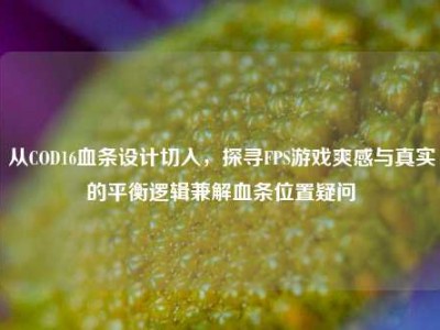 从COD16血条设计切入，探寻FPS游戏爽感与真实的平衡逻辑兼解血条位置疑问