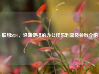 联想S300，轻薄便携的办公娱乐利器及参数介绍