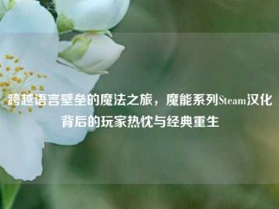 跨越语言壁垒的魔法之旅，魔能系列Steam汉化背后的玩家热忱与经典重生