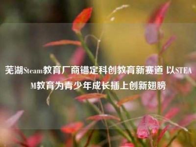芜湖Steam教育厂商锚定科创教育新赛道 以STEAM教育为青少年成长插上创新翅膀