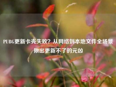 PUBG更新卡壳失败？从网络到本地文件全场景揪出更新不了的元凶