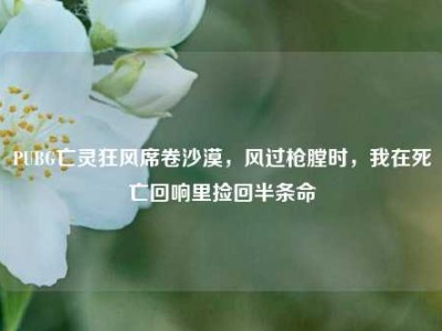 PUBG亡灵狂风席卷沙漠，风过枪膛时，我在死亡回响里捡回半条命