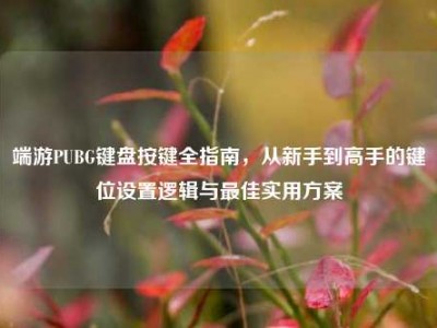 端游PUBG键盘按键全指南，从新手到高手的键位设置逻辑与最佳实用方案