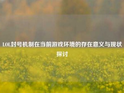 LOL封号机制在当前游戏环境的存在意义与现状探讨