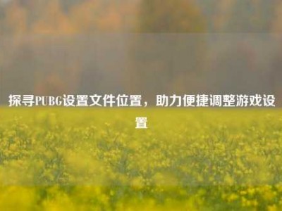 探寻PUBG设置文件位置，助力便捷调整游戏设置
