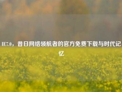IE7.0，昔日网络领航者的官方免费下载与时代记忆
