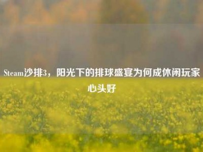 Steam沙排3，阳光下的排球盛宴为何成休闲玩家心头好
