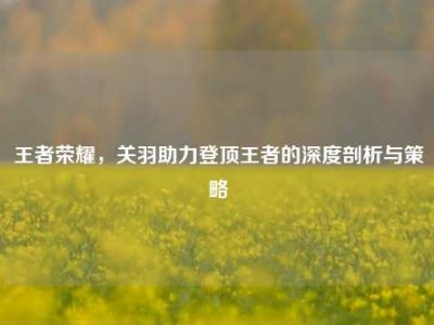 王者荣耀，关羽助力登顶王者的深度剖析与策略