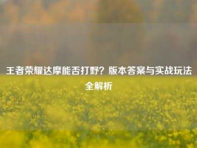 王者荣耀达摩能否打野？版本答案与实战玩法全解析