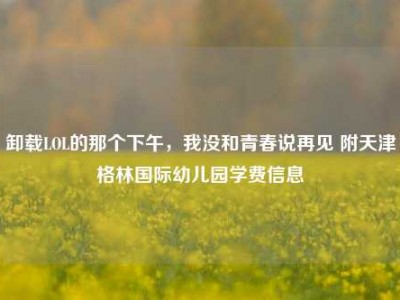 卸载LOL的那个下午，我没和青春说再见 附天津格林国际幼儿园学费信息