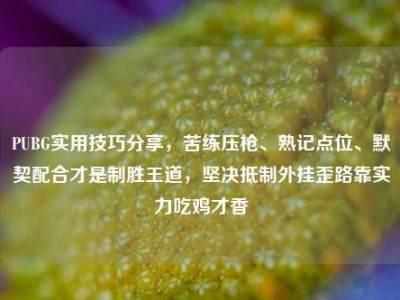 PUBG实用技巧分享，苦练压枪、熟记点位、默契配合才是制胜王道，坚决抵制外挂歪路靠实力吃鸡才香