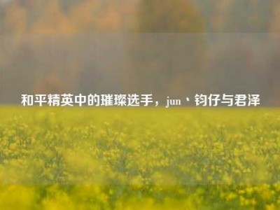 和平精英中的璀璨选手，jun丶钧仔与君泽