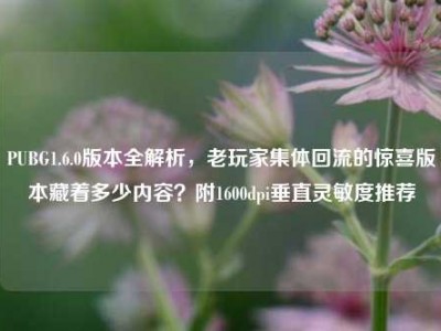 PUBG1.6.0版本全解析，老玩家集体回流的惊喜版本藏着多少内容？附1600dpi垂直灵敏度推荐