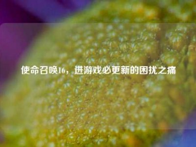 使命召唤16，进游戏必更新的困扰之痛