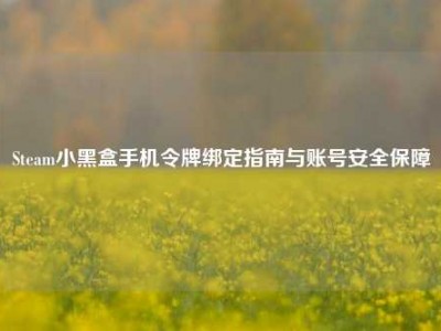 Steam小黑盒手机令牌绑定指南与账号安全保障