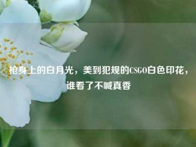 枪身上的白月光，美到犯规的CSGO白色印花，谁看了不喊真香