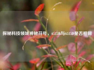 探秘科技领域神秘符号，6515B与6515D是否相同