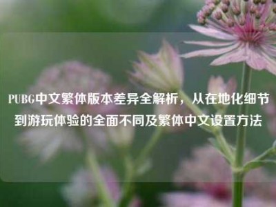 PUBG中文繁体版本差异全解析，从在地化细节到游玩体验的全面不同及繁体中文设置方法