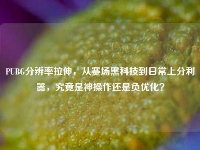 PUBG分辨率拉伸，从赛场黑科技到日常上分利器，究竟是神操作还是负优化？