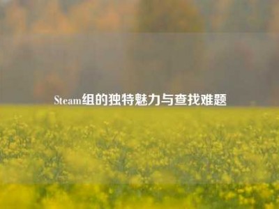 Steam组的独特魅力与查找难题