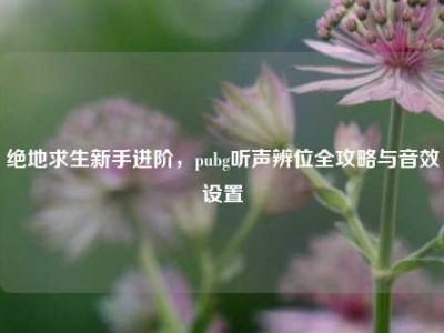 绝地求生新手进阶，pubg听声辨位全攻略与音效设置