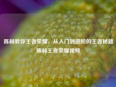 陈赫教你王者荣耀，从入门到进阶的王者秘籍陈赫王者荣耀视频