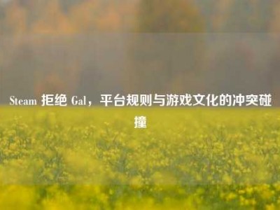 Steam 拒绝 Gal，平台规则与游戏文化的冲突碰撞