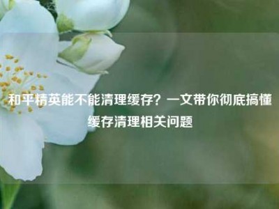 和平精英能不能清理缓存？一文带你彻底搞懂缓存清理相关问题