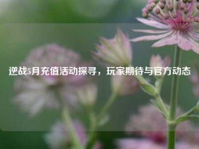 逆战5月充值活动探寻，玩家期待与官方动态