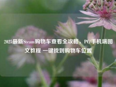 2025最新Steam购物车查看全攻略，PC/手机端图文教程 一键找到购物车位置