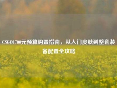 CSGO1700元预算购置指南，从入门皮肤到整套装备配置全攻略