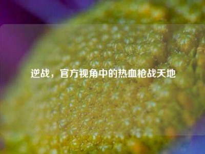逆战，官方视角中的热血枪战天地