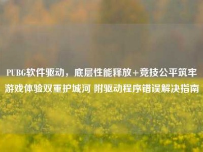 PUBG软件驱动，底层性能释放+竞技公平筑牢游戏体验双重护城河 附驱动程序错误解决指南