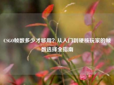 CSGO帧数多少才够用？从入门到硬核玩家的帧数选择全指南