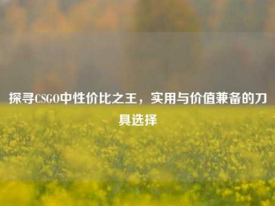 探寻CSGO中性价比之王，实用与价值兼备的刀具选择