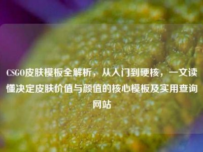 CSGO皮肤模板全解析，从入门到硬核，一文读懂决定皮肤价值与颜值的核心模板及实用查询网站