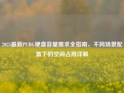 2025最新PUBG硬盘容量需求全指南，不同场景配置下的空间占用详解